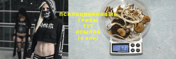 синтетический гашиш Алексеевка