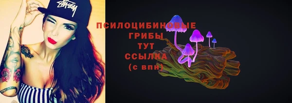 мяу мяу мука Алзамай