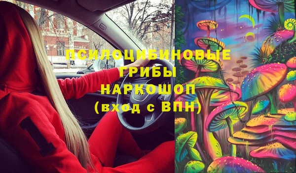 мяу мяу мука Алзамай
