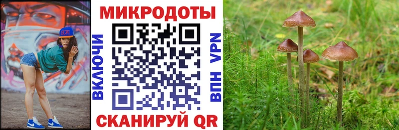 blacksprut как войти  Алушта  Галлюциногенные грибы Psilocybine cubensis 